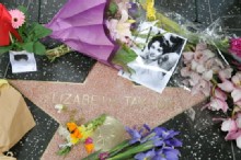 Elizabeth Taylor: A Life in Film