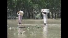 Pakistani floods claim hundreds more