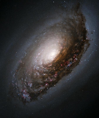 Dust band around the nucleus of "black eye galaxy" ...