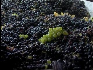 Trouble brewing for wine industry