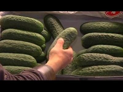 Spain angry over German cucumber slur