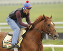 Kentucky Derby winner Animal Kingdom with David Nava aboard gets a morning workout at the Fair Hill Training Center on Monday, May 16, 2011 in Fair Hill, Md. Animal Kingdom and his trainer Graham Motion are preparing for the 136th Preakness Stakes race Saturday in Baltimore.