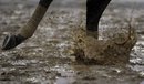 A horse runs in the mud at Churchill Downs Tuesday, May 3, 2011, in Louisville, Ky.