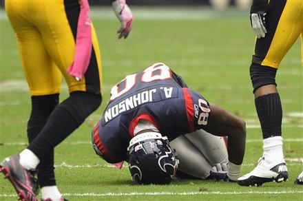Houston Texans Wide Receiver Andre Johnson (80) Falls