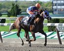 In this photo provided by New York Racing Association, Caixa Eletronica, ridden by Cornelio Velasquez captures The Westchester Grade III at Belmont Park on April 30, 2011, in New York