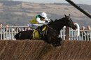 Tony McCoy on Albertas Run jumps the last fence of the Ryanair Chase at Cheltenham Racecourse, Cheltenham, England Thursday March 17, 2011. An intruder encroached on the course in the day's third race, the Ryanair Chase, which was won by Albertas Run for the second straight year.(AP Photo/David Davies, PA) UNITED KINGDOM OUT NO SALES NO ARCHIVE