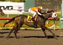 In this photo provided by Benoit Photo, Saint Isabelle, ridden by Rafael Bejarano, goes on to win the Time To Leave Stakes horse race at Hollywood Park on Sunday, May 1, 2011, in Inglewood, Calif.