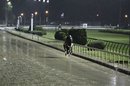 Kentucky Derby hopeful Watch Me Go, with jockey Freddie Lenclud up, works out on the wet track before sunrise at Churchill Downs Monday, May 2, 2011, in Louisville, Ky.