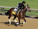 LOUISVILLE, KY - MAY 05: Kentucky Derby entrant Derby Kitten works on the track in preparation for the 137th Kentucky Derby at Churchill Downs on May 5, 2011 in Louisville, Kentucky. (Photo by Rob Carr/Getty Images)