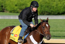 LOUISVILLE, KY - APRIL 29: Santiva runs during the morning exercise session in preparation for the 137th Kentucky Derby at Churchill Downs on April 29, 2011 in Louisville, Kentucky. (Photo by Matthew Stockman/Getty Images)