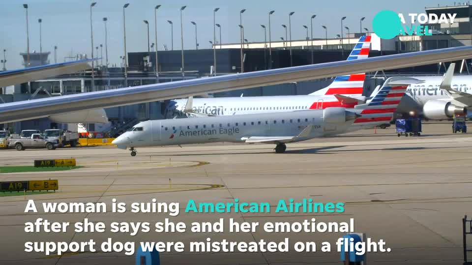 2 passengers, emotional support French bulldogs booted off Norwegian Air flight