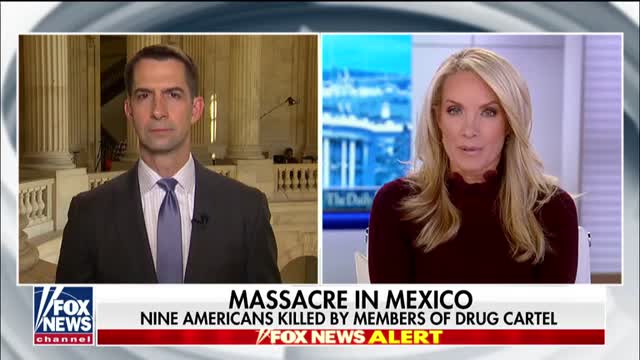 Sen. Tom Cotton says the only answer to heavily armed Mexican cartels is more bullets and bigger bullets