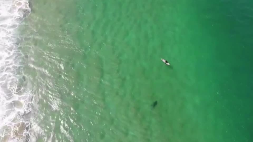 Drone delivers shark warning to surfer