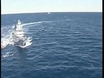 Australia gets tough on Whalers