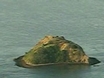 $10 Million Island for Sale