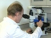 Stem Cell Research Bill Vetoed