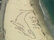 Human Whale in Australia?