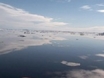 Disappearing Arctic