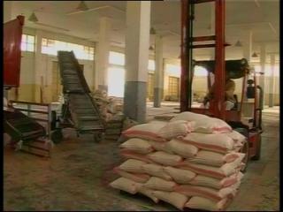 Flour crisis looms in Gaza